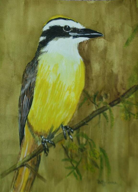 Birds Art Print featuring the painting Great Kiskadee by Betty-Anne McDonald