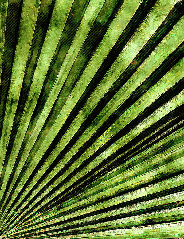 Palm Tree Art Print featuring the photograph Green Palm Tree Frond by Phil Perkins