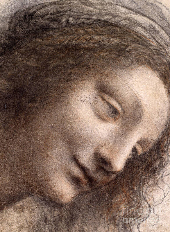 Head Of Virgin Art Print featuring the drawing Head of the Virgin Mary by Leonardo Da Vinci