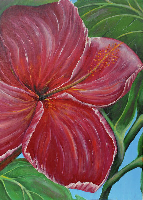 Acrylic Art Print featuring the painting Hibiscus by Medea Ioseliani