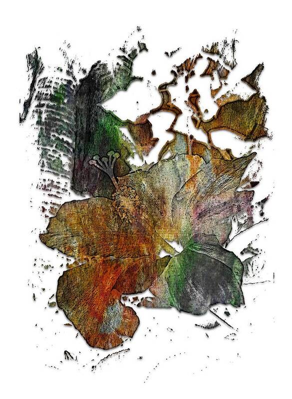 Muted Art Print featuring the photograph Hibiscus S D Z 2 Muted Rainbow 3 Dimensional by DiDesigns Graphics