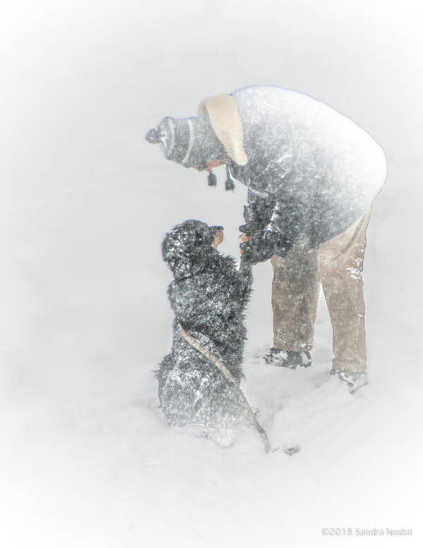 Snow Art Print featuring the digital art Human/Canine Partners by Sandra Nesbit