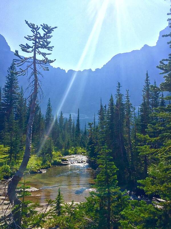 Landscape Montana Hiking Outdoors Mountains Trees Wildlife Iceberg Lake Many Glacier Water River Brooke Creek Rocks Art Print featuring the photograph Iceberg lake river by Brian Gilday