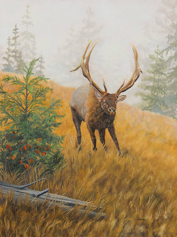 North American Wildlife Art Print featuring the painting In Pursuit - Elk by Johanna Lerwick