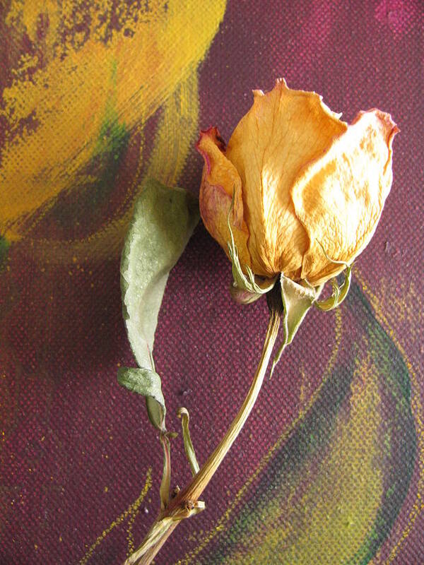 Yellow Rose Art Print featuring the photograph Inspiration by Lindie Racz