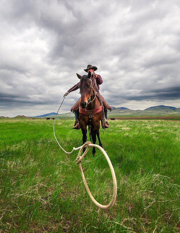 Cowboy Art Print featuring the photograph Invisible Calf by Todd Klassy