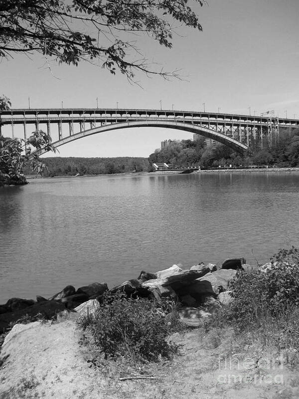 Black And White Landscapes Art Print featuring the photograph Inwood Hill Park 4 by Amaryllis Leon