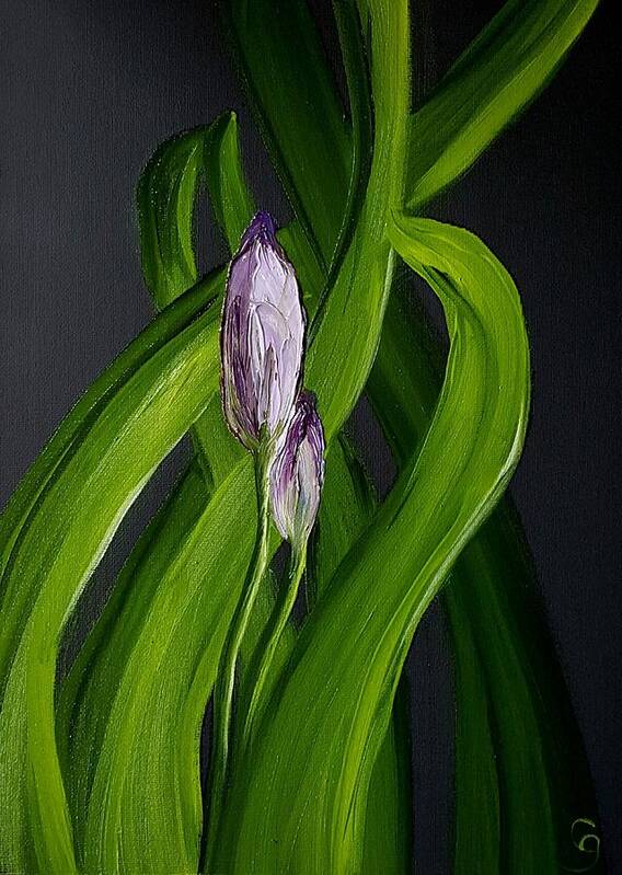 Iris Buds Art Print featuring the painting Iris Buds 49 by Cheryl Nancy Ann Gordon