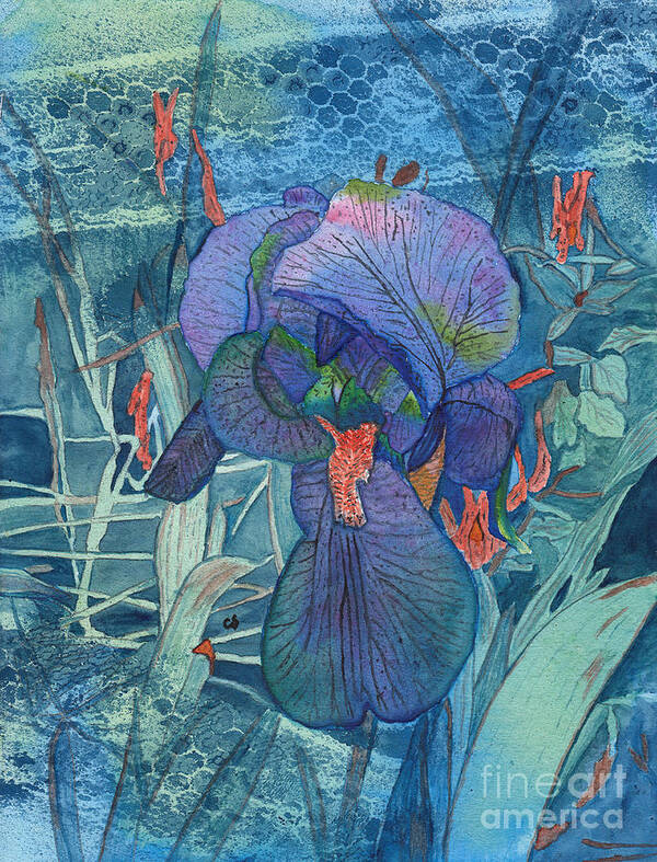 Iris Art Print featuring the painting Iris Lace with Wild Columbine by Conni Schaftenaar