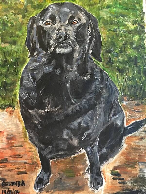 Dog Art Print featuring the painting K O D O K by Belinda Low