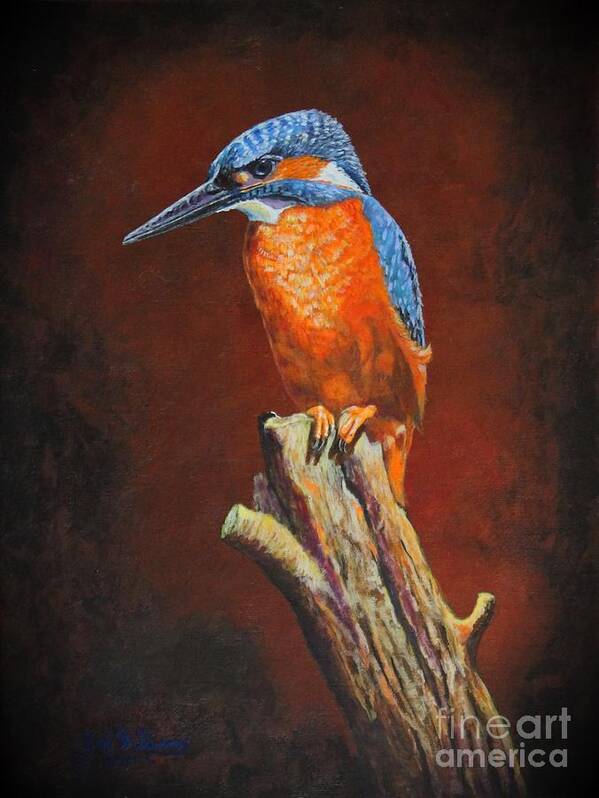 Kingfisher Art Print featuring the painting Kingfisher.....Waiting for Dinner by Bob Williams