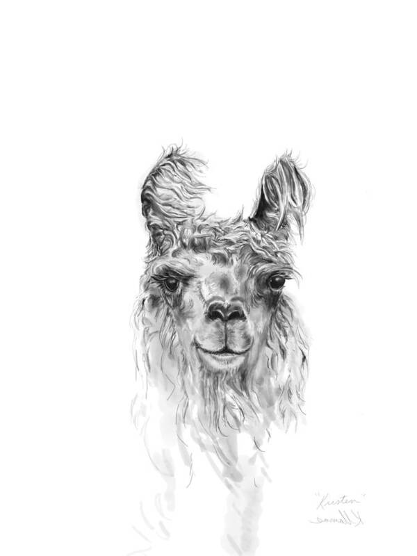 Llama Art Art Print featuring the drawing Kristen by Kristin Llamas