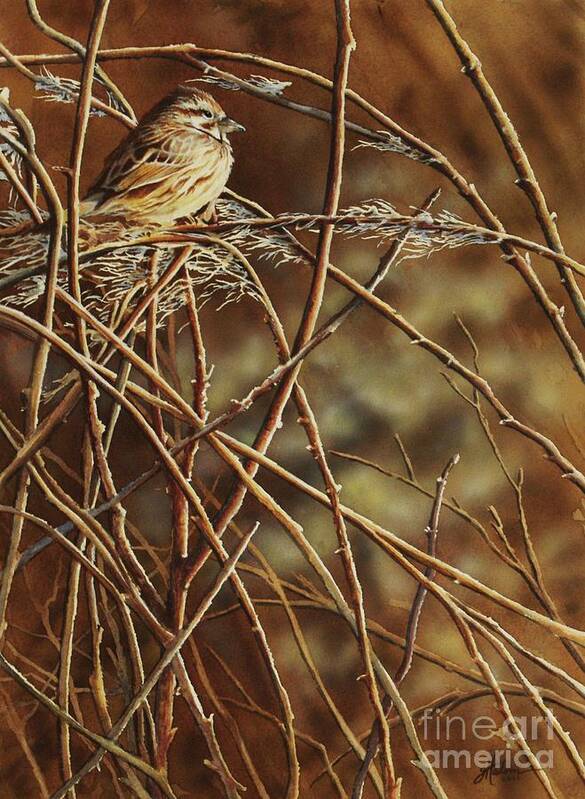 Sparrow Art Print featuring the painting Last Light by Greg and Linda Halom