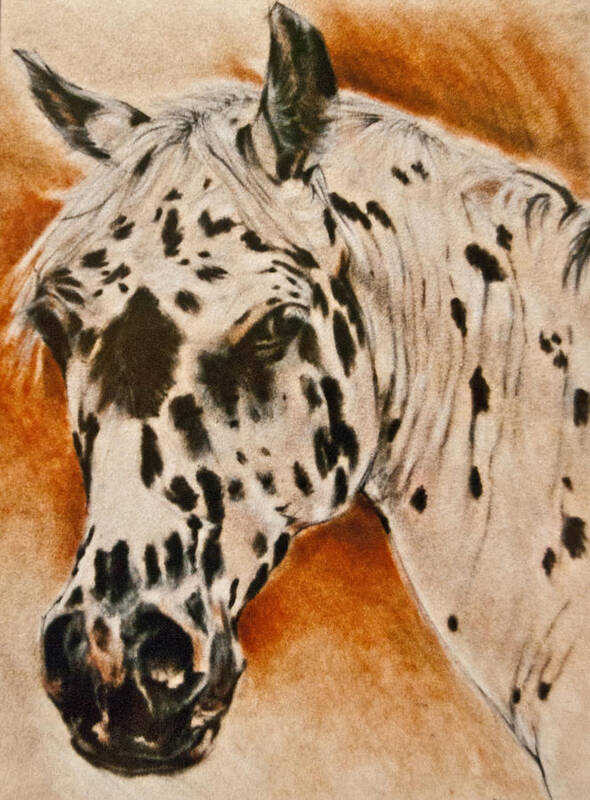 Horse Art Art Print featuring the painting Leopard Appy by Jani Freimann
