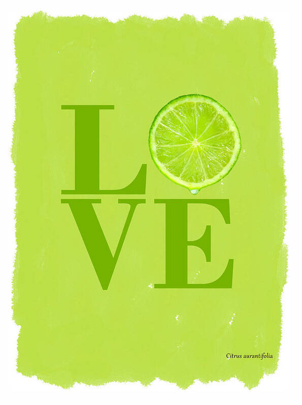 Lime Art Print featuring the photograph Lime by Mark Rogan