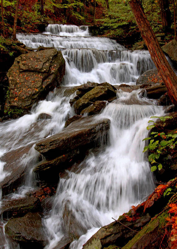 Waterfalls Art Print featuring the photograph Little Four Mile Run Falls by Suzanne Stout