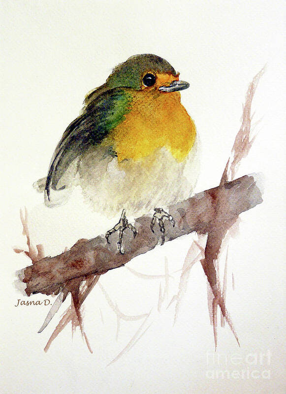 Bird Art Print featuring the painting Little by Jasna Dragun