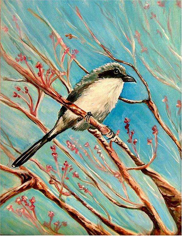 Loggerhead Shrike Art Print featuring the painting Loggerhead Shrike by Carol Allen Anfinsen