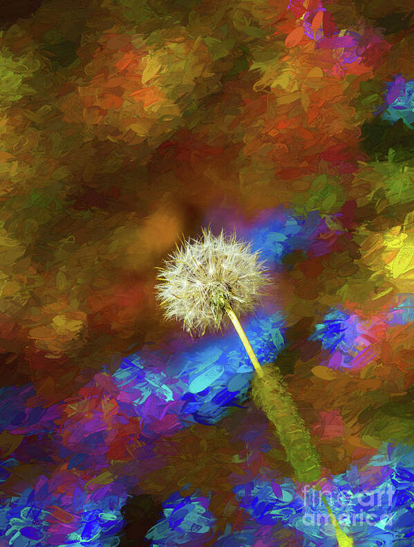 Flower Art Print featuring the photograph Lone dandelion by Sheila Smart Fine Art Photography