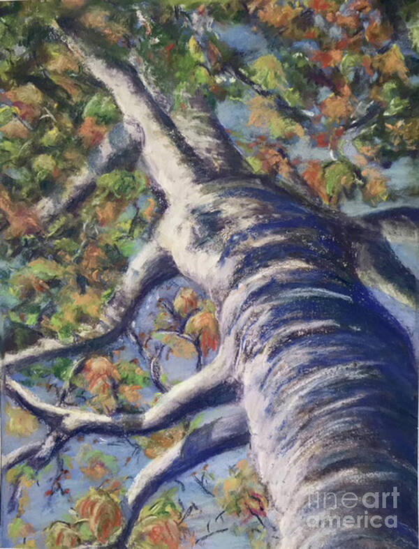 Trees Art Print featuring the painting Looking Up - Fall by Susan Sarabasha