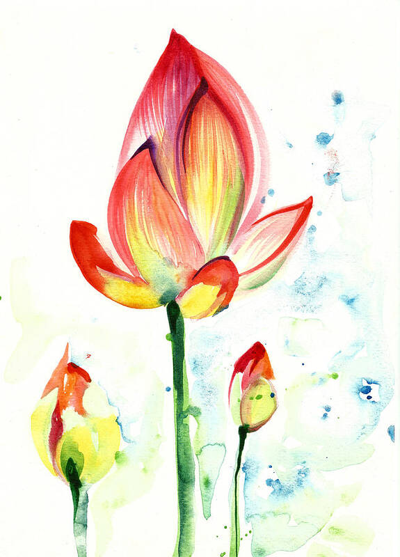 Lotus Art Print featuring the painting Lotus Opening Flower with Buds by Tiberiu Soos