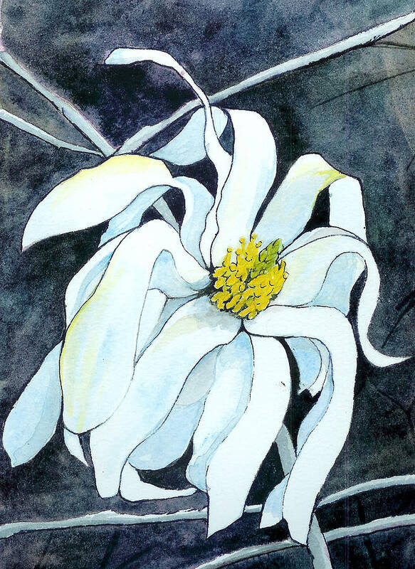 Flower Art Print featuring the painting Magnolia by Lynn Babineau