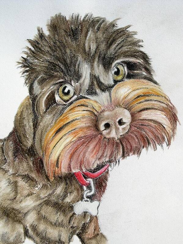 Cockerpoo Art Print featuring the pastel Maisie Moo by Teresa Smith