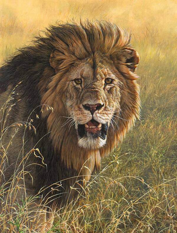 Wildlife Paintings Art Print featuring the painting Male Lion 2 by Alan M Hunt