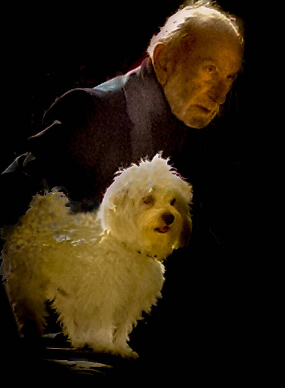 2015 Art Print featuring the photograph Man of Sarlat with dog by George Harth