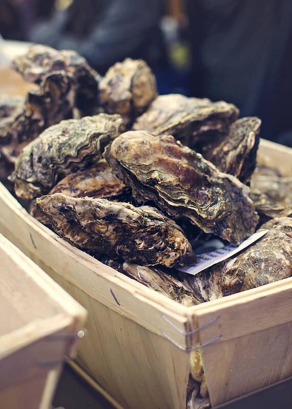 Oysters Art Print featuring the photograph Market Fresh Oysters by Heather Applegate