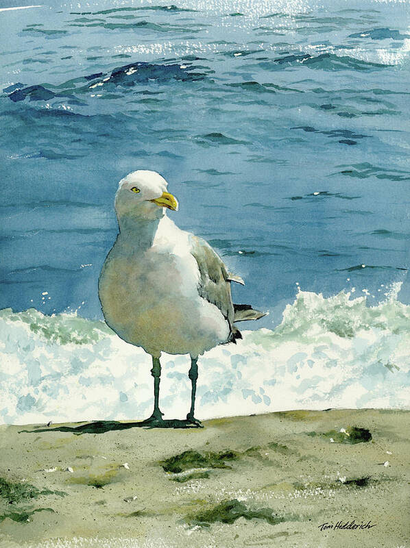 Seashore Print Art Print featuring the painting Montauk Gull by Tom Hedderich