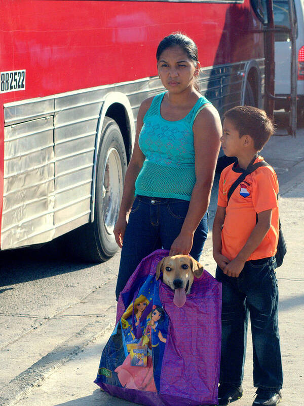 Mother Art Print featuring the photograph Mother Son And Dog In A Bag by Douglas Pike