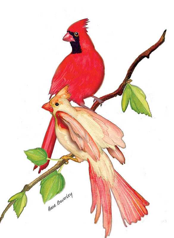 Albino Female Cardinal Art Print featuring the painting Mr. and Mrs. Cardinal by Anne Beverley-Stamps