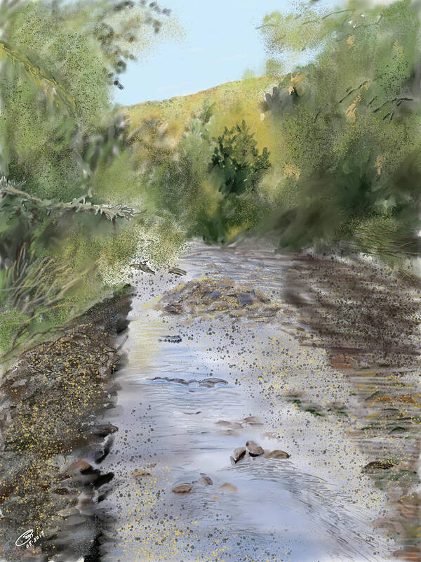 Neils Creek Art Print featuring the digital art Neils Creek 2018 by Joel Deutsch