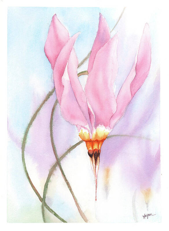 Dodecatheon Art Print featuring the painting New Star by Hilda Wagner