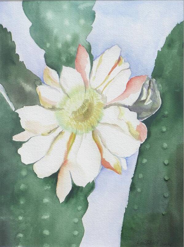 Cactus Flower Art Print featuring the painting Night Bloomers by Kathy Mitchell