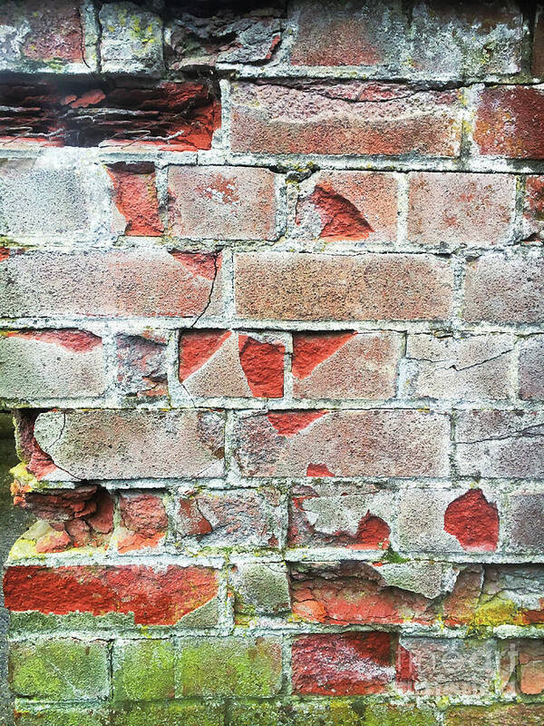 Abandoned Art Print featuring the photograph Old brick wall by Tom Gowanlock
