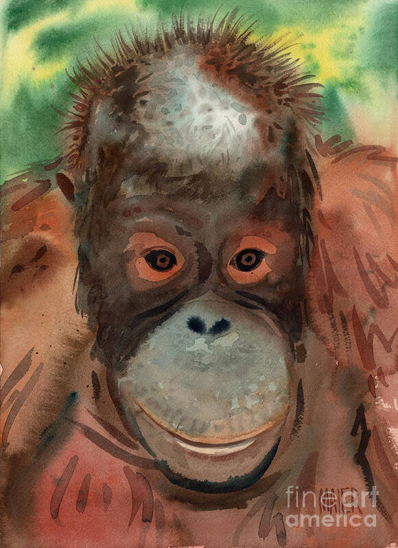 Orangutans Art Print featuring the painting Orangutan by Donald Maier