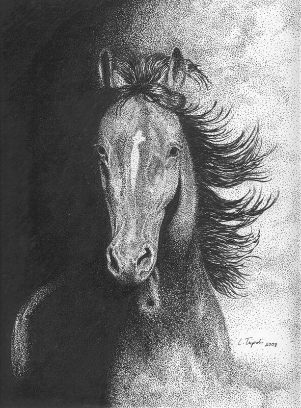 Horse Art Print featuring the drawing Out of the Shadows by Lawrence Tripoli