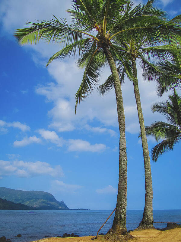 Aloha Art Print featuring the photograph Palm Trees on Puu Poa Beach by Andy Konieczny
