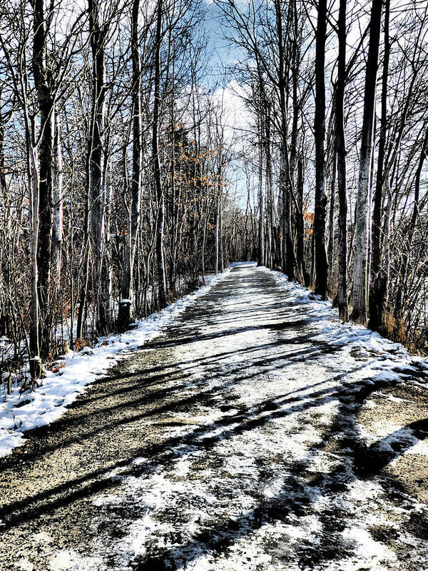 Path Art Print featuring the photograph Path in Winter by Celtic Artist Angela Dawn MacKay