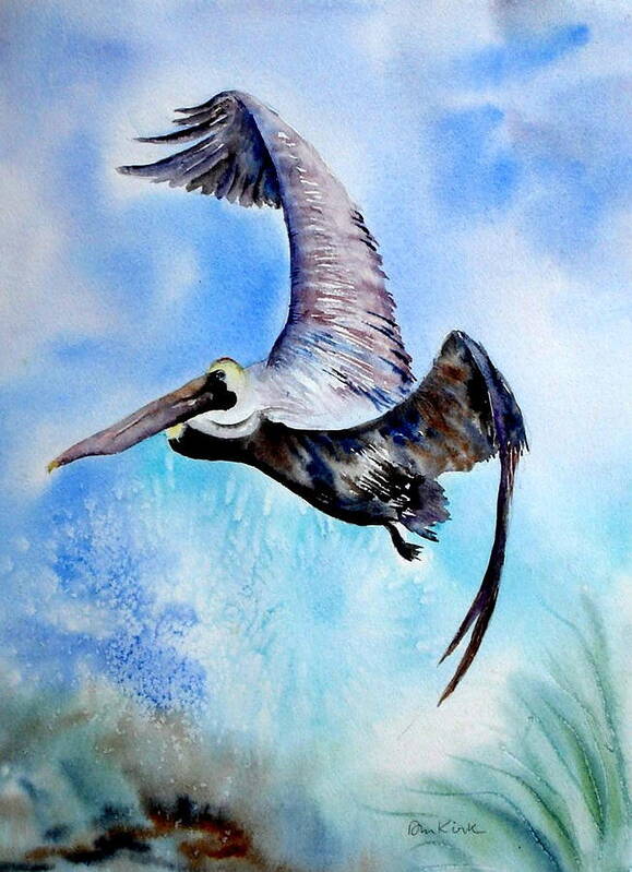 Birds Art Print featuring the painting Pelican in Flight by Diane Kirk