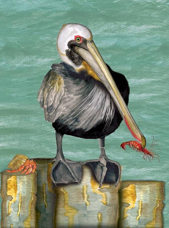 Pelican Art Print featuring the painting Pelican with Shrimp by Anne Beverley-Stamps