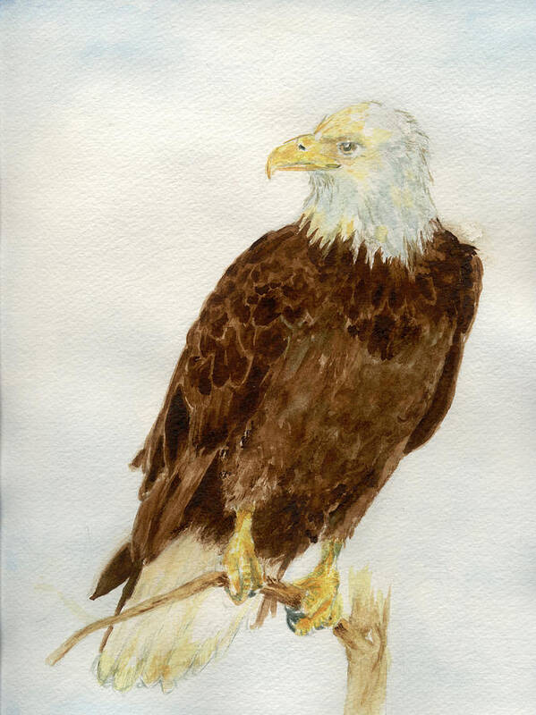 Eagle Art Print featuring the painting Perched Eagle by Andrew Gillette