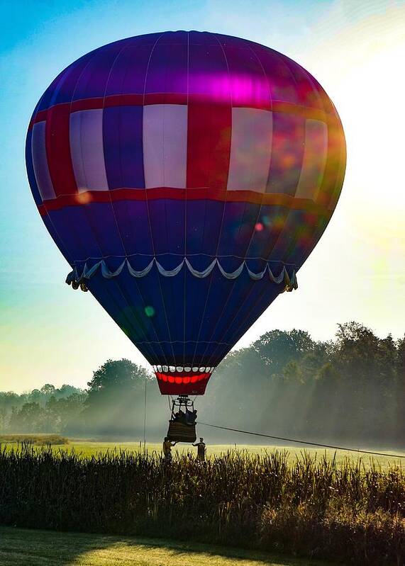  Art Print featuring the photograph Perfect Landing by Kendall McKernon