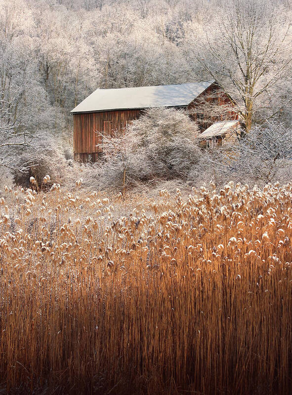Barn Art Print featuring the photograph Perfect Setting by Rob Blair