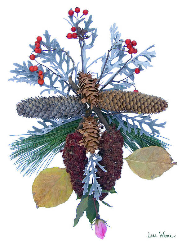 Lise Winne Art Print featuring the digital art Pine Cone Bouquet by Lise Winne