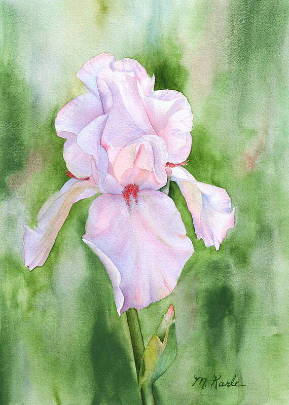 Flower Art Print featuring the painting Pink Iris by Marsha Karle
