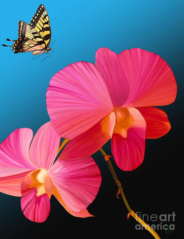 Pink Art Print featuring the painting Pink Lux Butterfly by Rand Herron