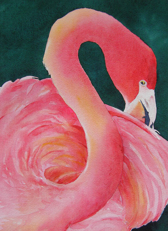Flamingo Art Print featuring the painting Playing Coy by Judy Mercer